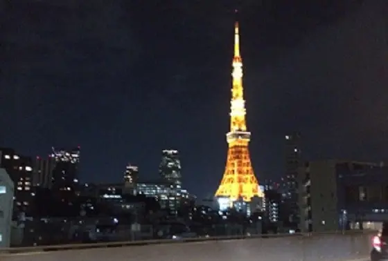 高速からの東京タワー