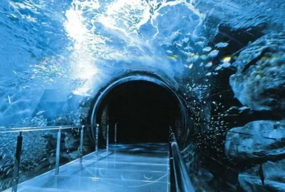 関門海峡を再現したトンネル状の水槽