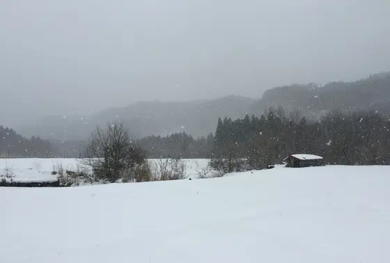 雪景色