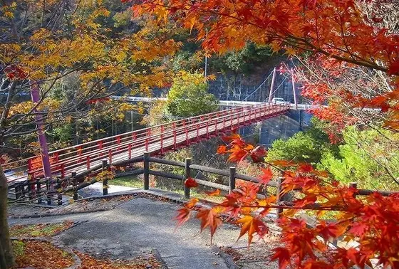 ダムの美しい紅葉の季節