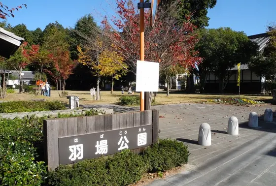 津島神社の隣の公園