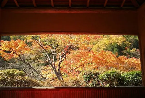 京都からの小旅行。