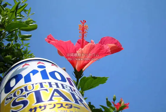 オリオンビール