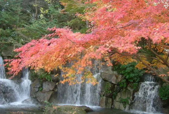 秋が深まってきたら紅葉も！