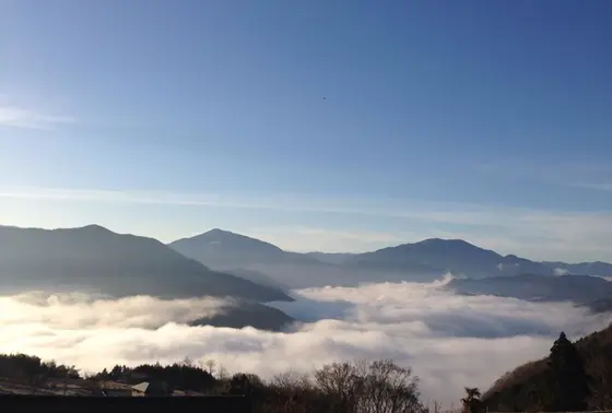 雲海が見えます。