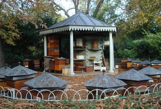 蜂蜜小屋