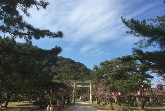 志都岐山神社の参道
