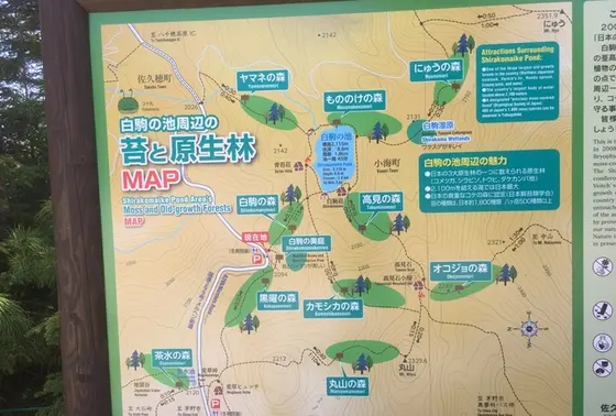 スポット内のおすすめ