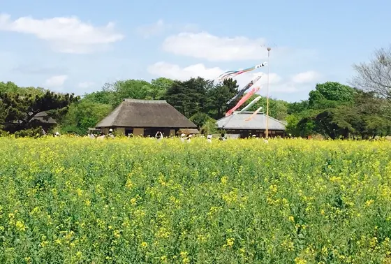 みはらしエリア