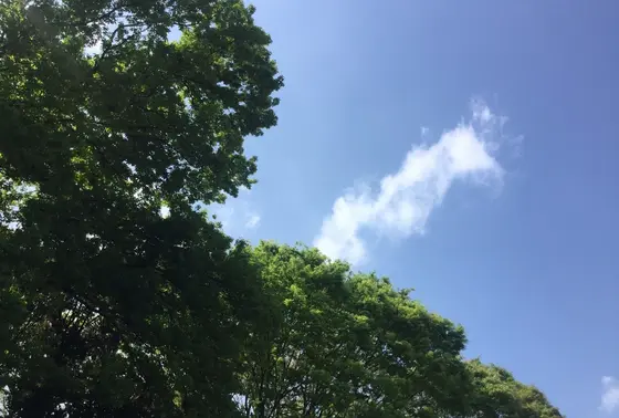 抜けるような青空