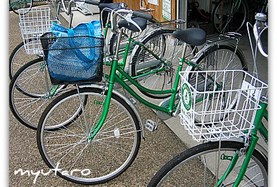 なかなか目立つ緑の自転車