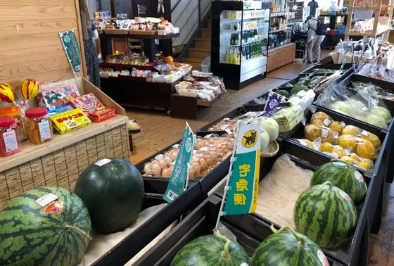 奈半利の特産品
