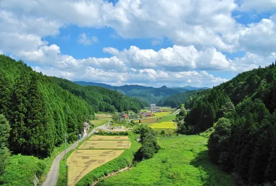 夏の風景の新庄村