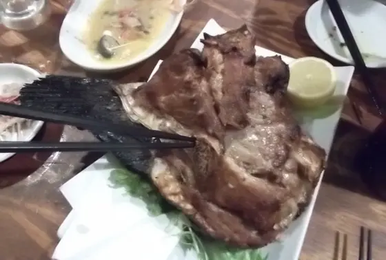 マグロの頭