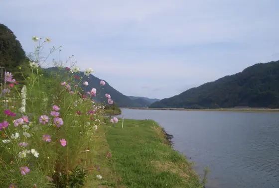 円山川で
