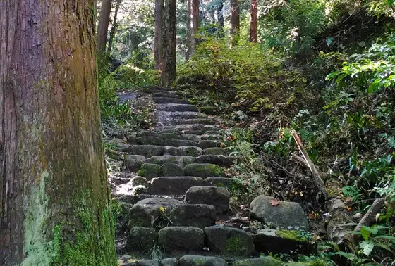 石老山登山道