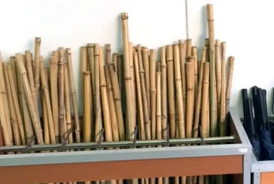 無料レンタル"竹の杖"