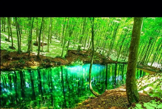 美人林の鏡