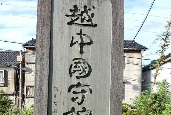 “越中国府“