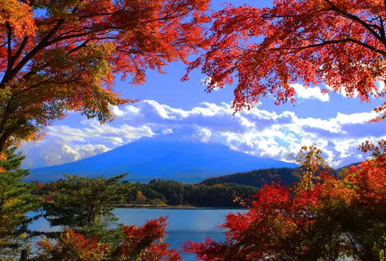 富士山と紅葉の絶景スポット