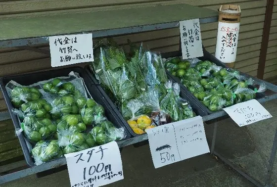 地場産の野菜販売
