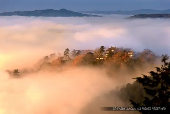備中松山城の雲海