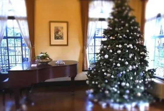ホールには圧巻のシンボルクリスマスツリー