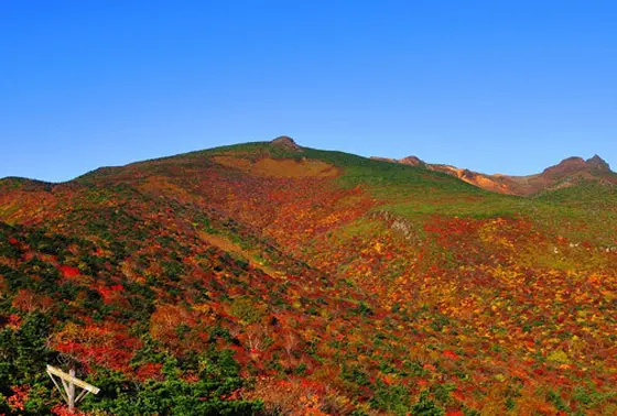 安達太良山の紅葉