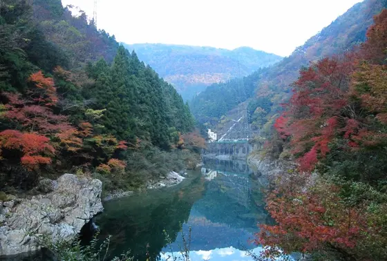 途中の道からの景色