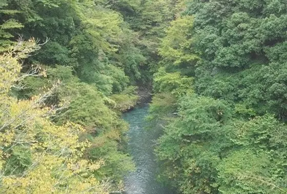 夏は横浜の水源 道志川であそぼう！