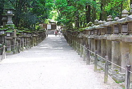 春日大社に初詣