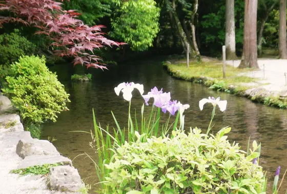庭園