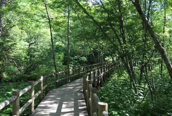 遊歩道