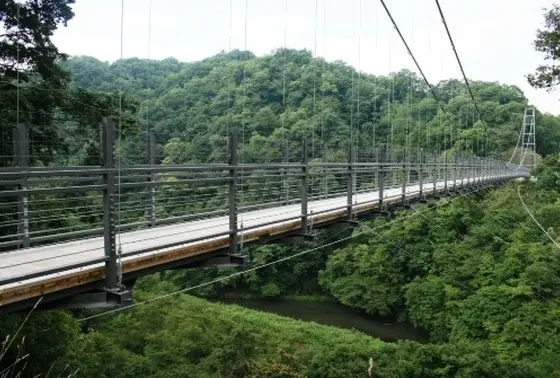 舌震"恋"吊り橋