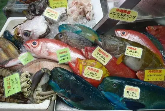 沖縄の魚たち