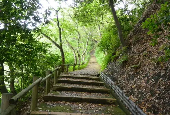 険しい山道