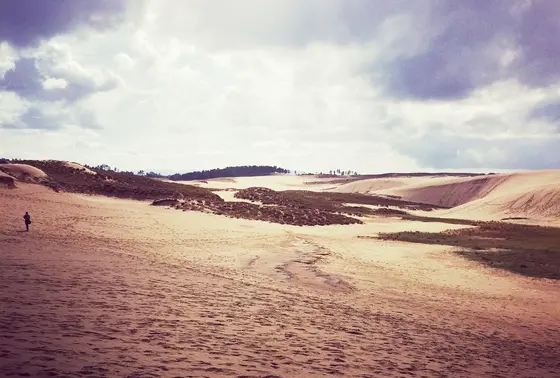 砂の景色は日々変わる。