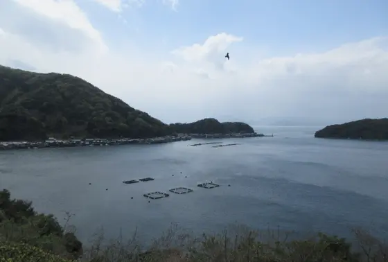 伊根湾（若狭湾）