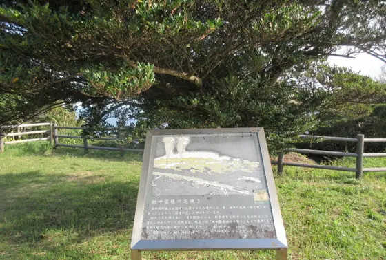 潮岬望楼の芝焼き