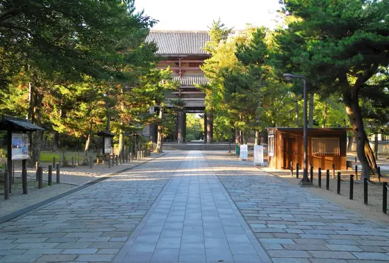 やっぱり早朝がオススメ