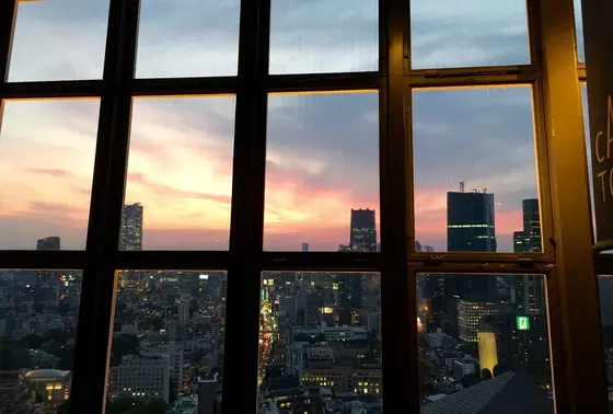 東京タワーからの夕日