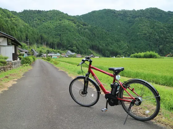 田園風景を眺めながらサイクリング