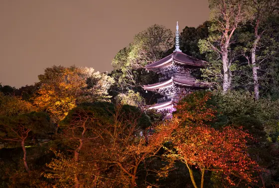 日本庭園夜のライトアップ
