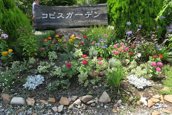 🌼