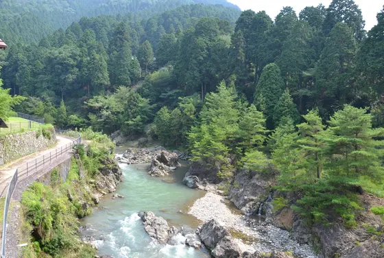 夏は涼しく、冬は寒い。