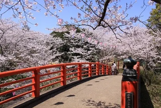 春は桜祭り