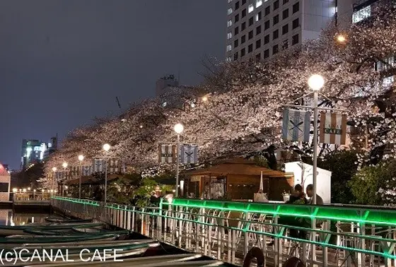 夜桜のカナルカフェ