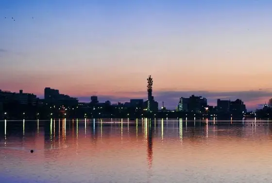 夜景がきれい