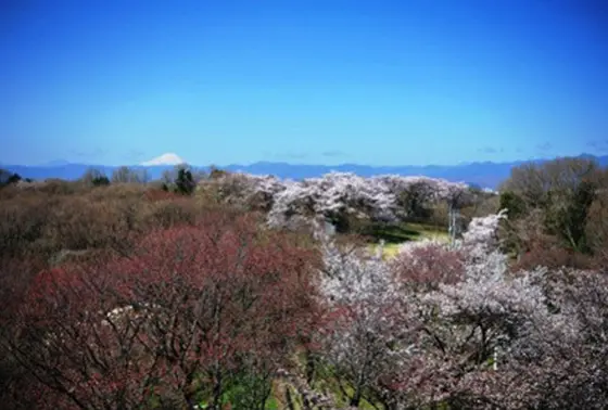 六道山公園の展望台