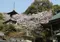 八十八か所遍路　巡礼と寄り道？　阿波市7番十楽寺～10番切幡寺～♪